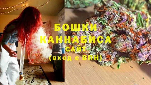 дурь Нея