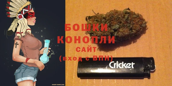сатива Каменск-Шахтинский