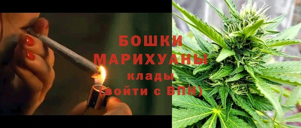 дурь Нея