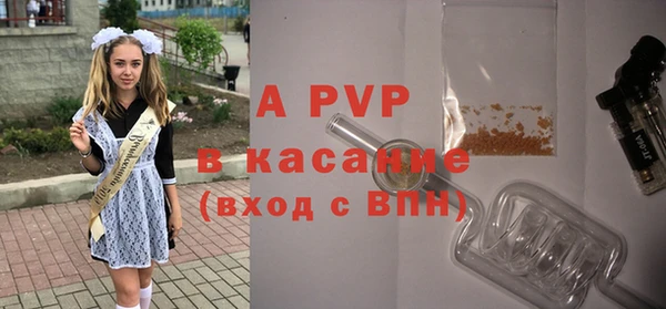 ПСИЛОЦИБИНОВЫЕ ГРИБЫ Березники