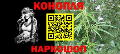 прущие грибы Балашиха