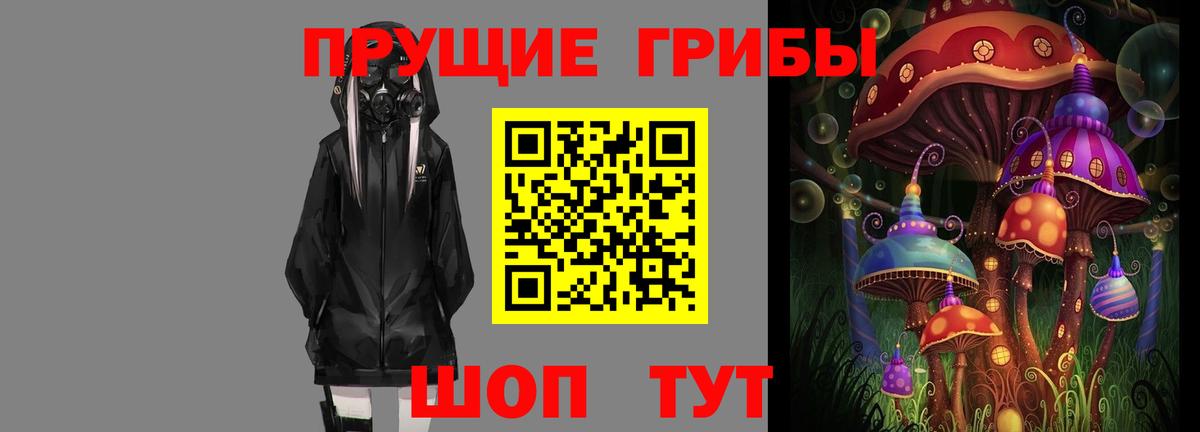 Бийск  Галлюциногенные грибы прущие грибы  Вход с VPN 
