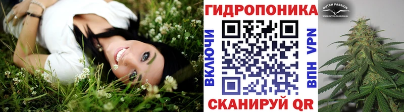 купить наркотики цена  Бийск  Шишки марихуана гибрид 